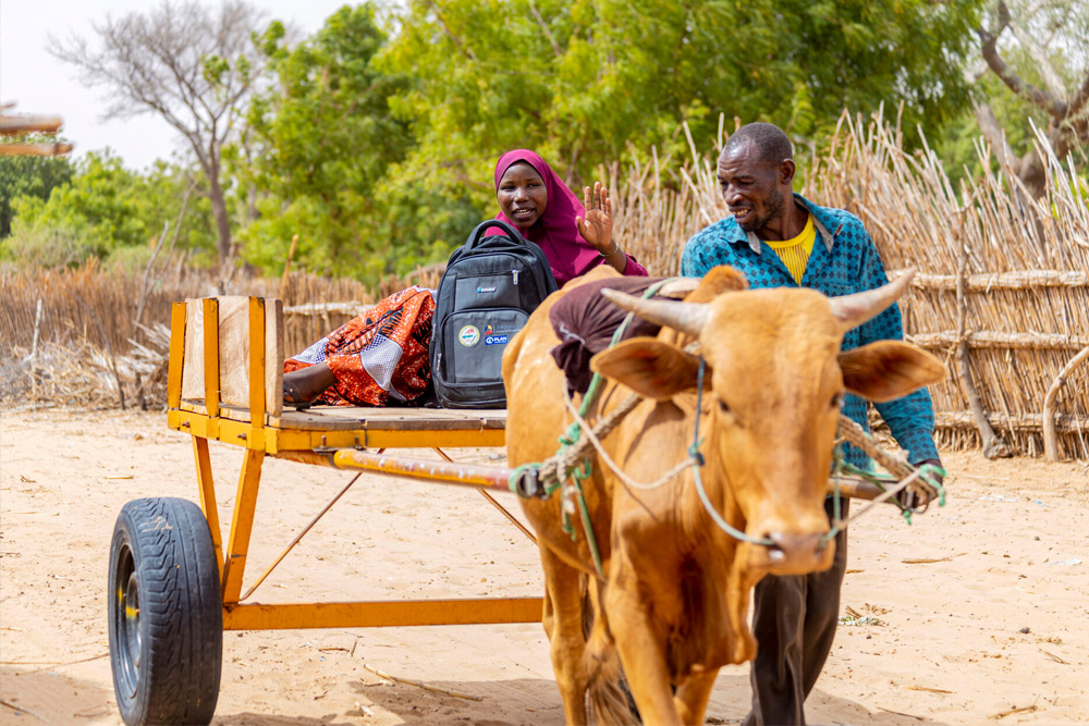 Lehmätaksilla kouluun